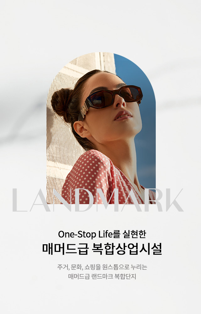 투시도